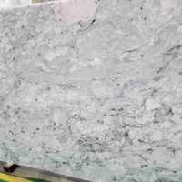 Bianco Perlatus (3)
