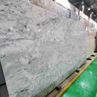 Bianco Perlatus (4)