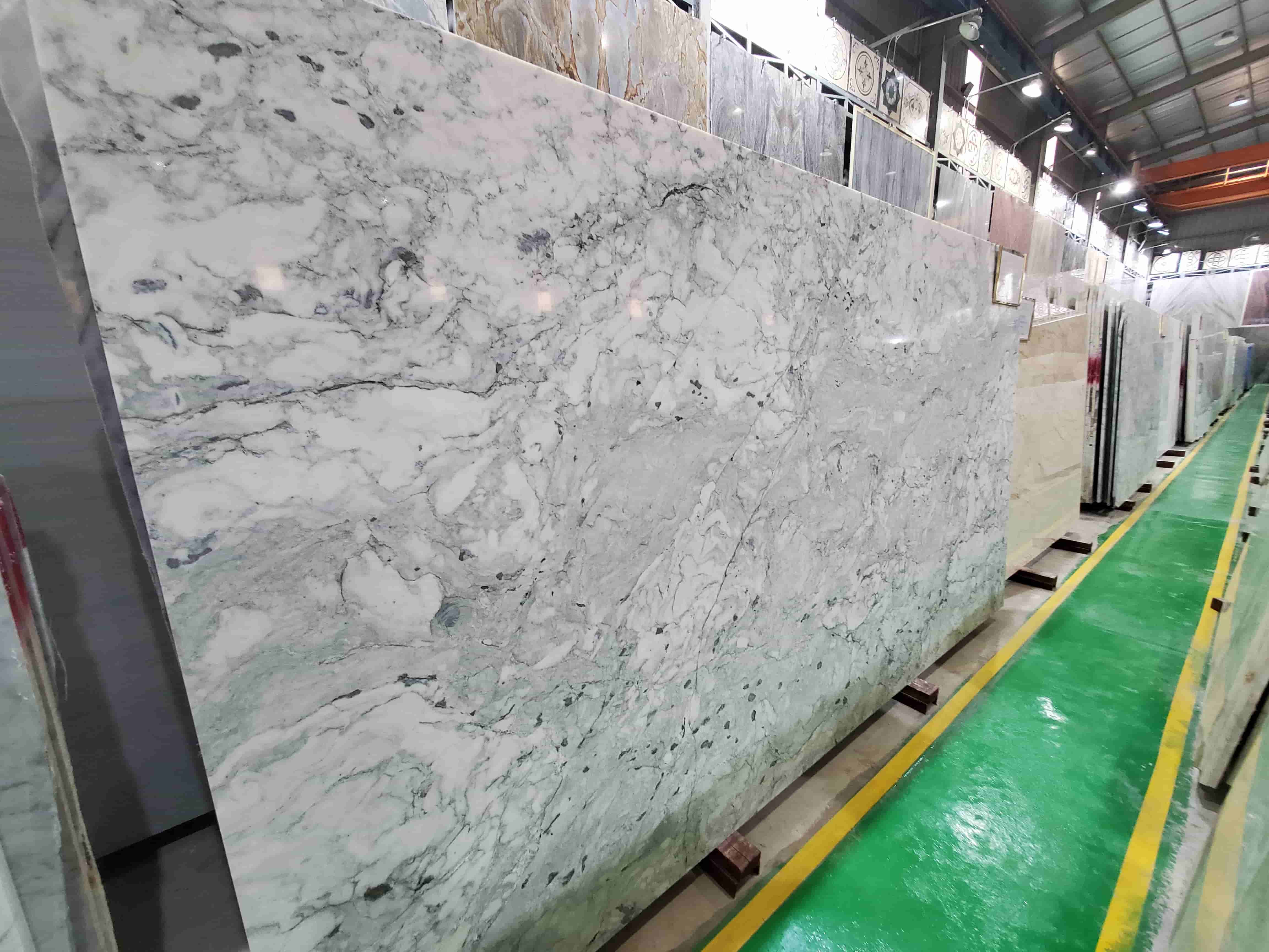 Bianco Perlatus (4)