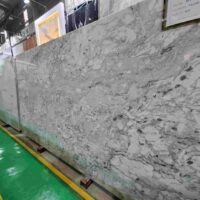Bianco Perlatus (5)