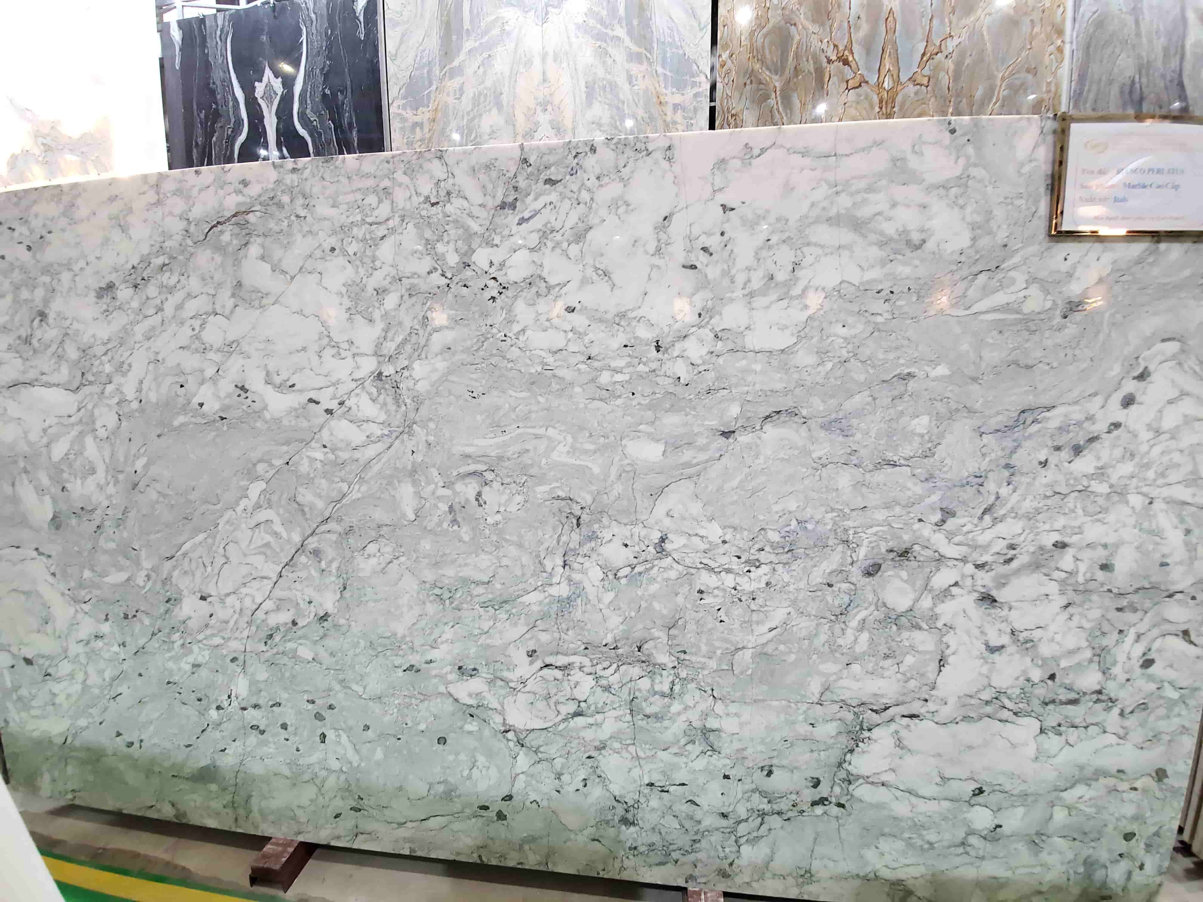 Bianco Perlatus (6)