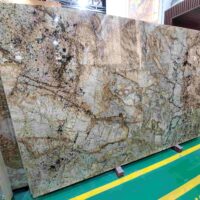 Đá granite Amazonia (4)