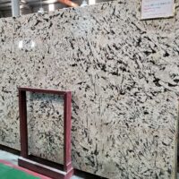 Đá granite Branco Persa (2)