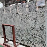Đá granite Branco Superiore (3)